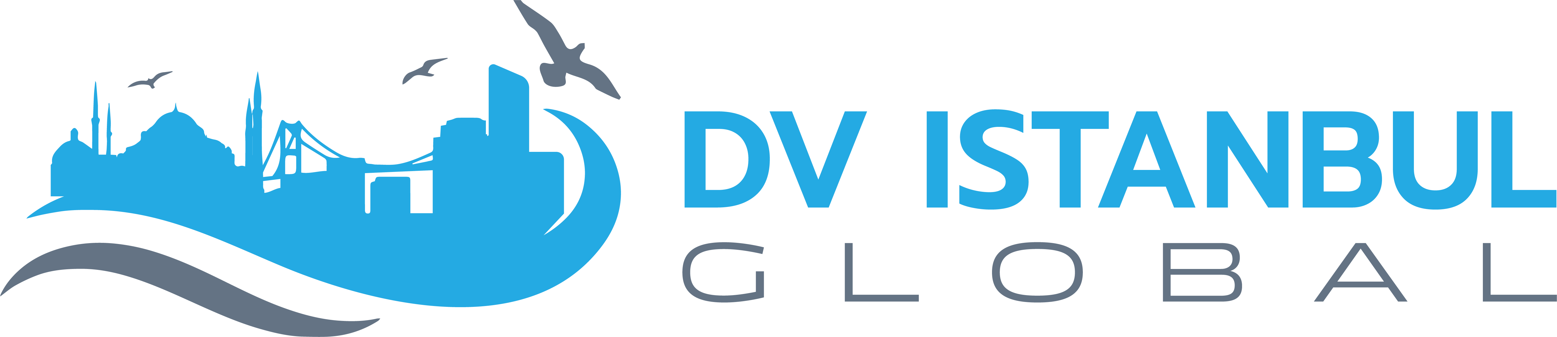 dvizhstambul.ru dvizhstambul.ru